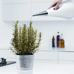 AquaStar Watering can, white