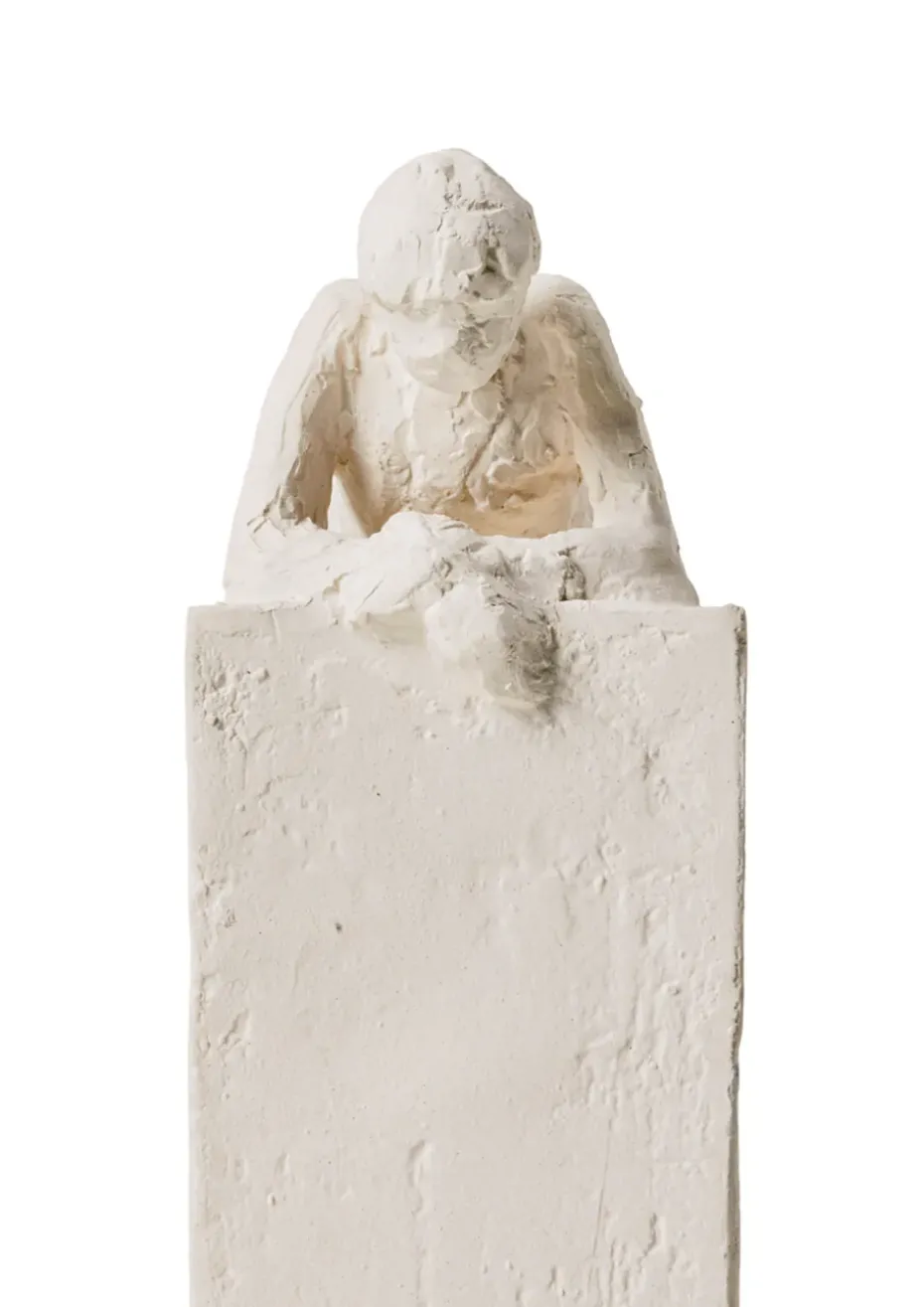 Astro sculpture, Aquarius