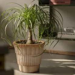 Atlas raw pot with saucer, Pink, Ø25 cm