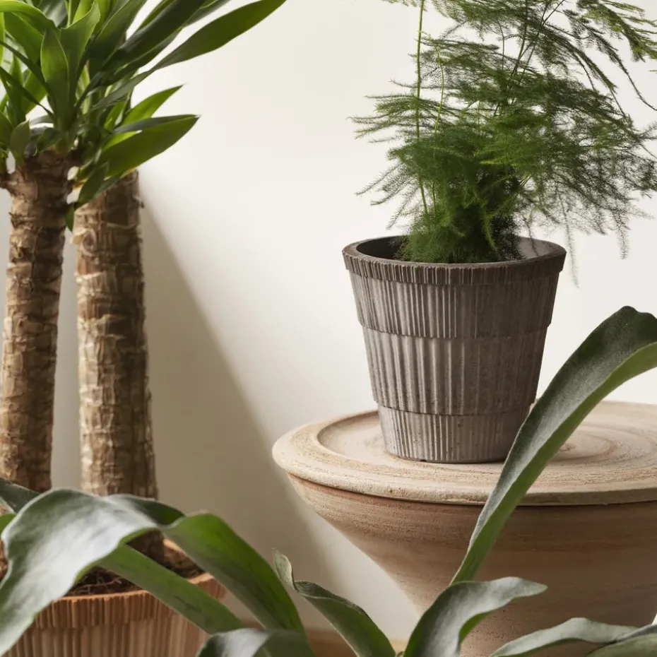 Atlas raw pot with saucer, Grey, Ø18 cm