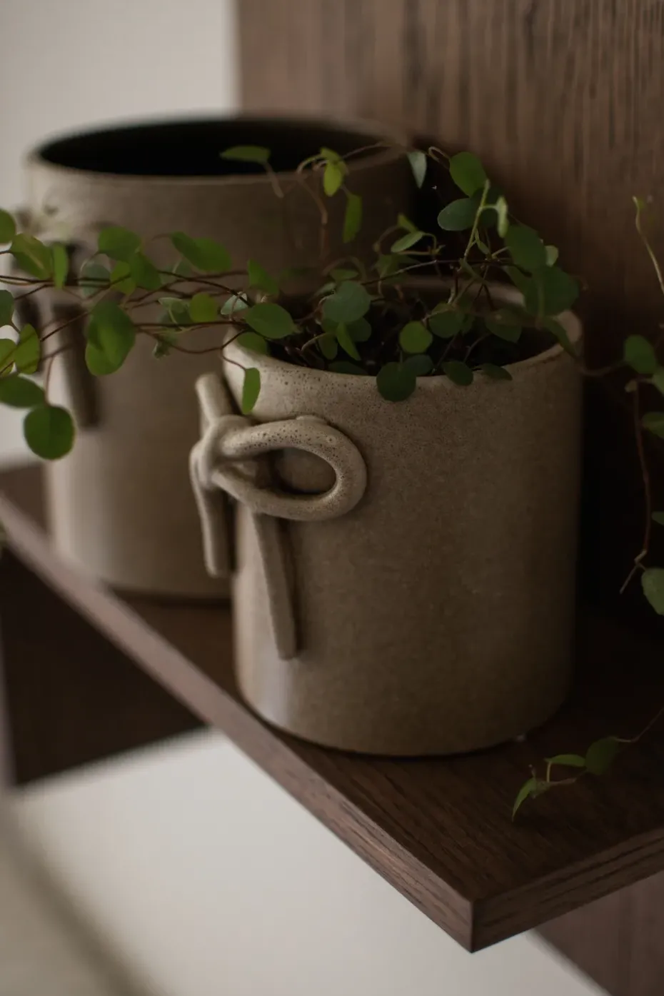 Bow pot Ø11 cm, Beige