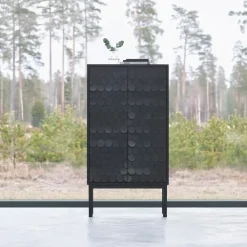 Collect cabinet 2012, Black