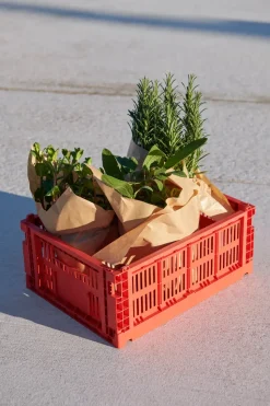 Colour Crate M 26.5x34.5 cm, Red