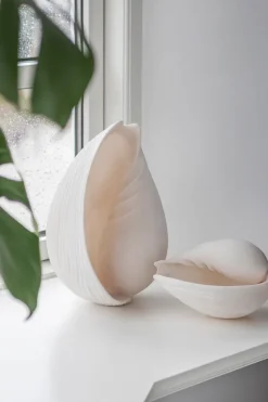 Conch decorative shell, Large