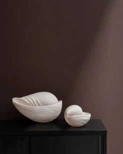 Conch decorative shell, Large