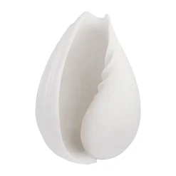 Conch decorative shell, Small