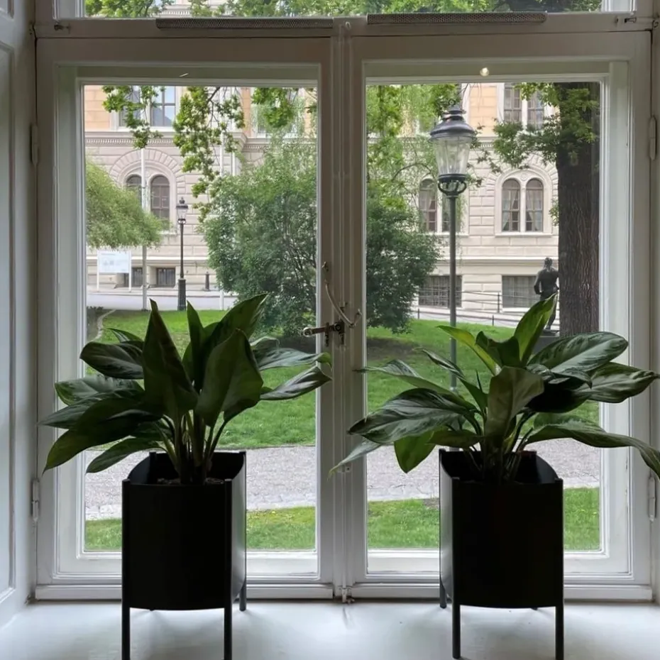 Convex Pot pot, Black, medium Ø34 cm