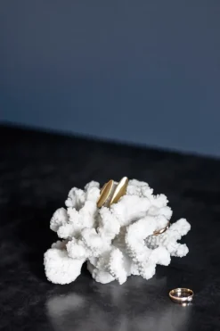 Coral branches white, Small