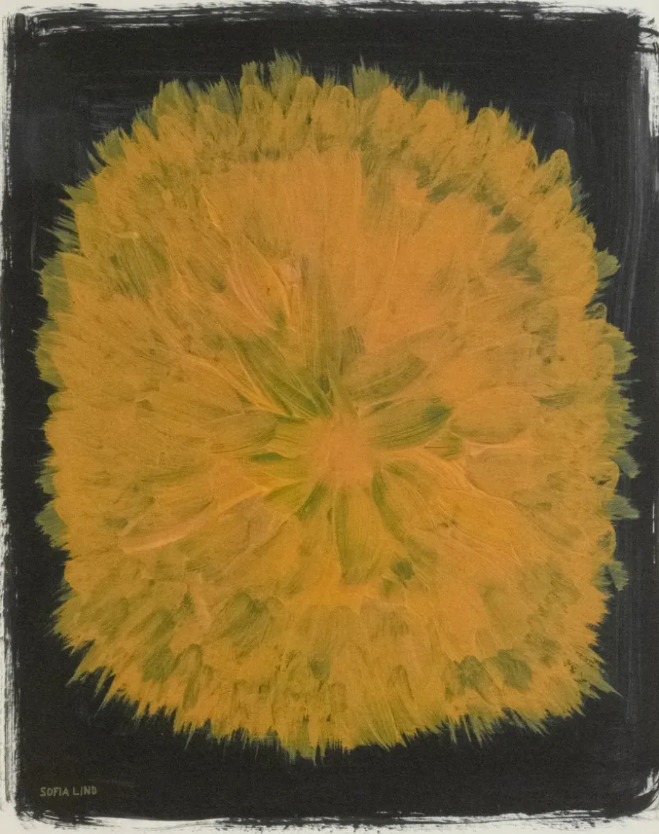 Dandelion poster 40x50 cm, Yellow-black