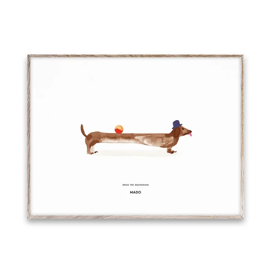 Doug the Dachshund poster, 30x40 cm