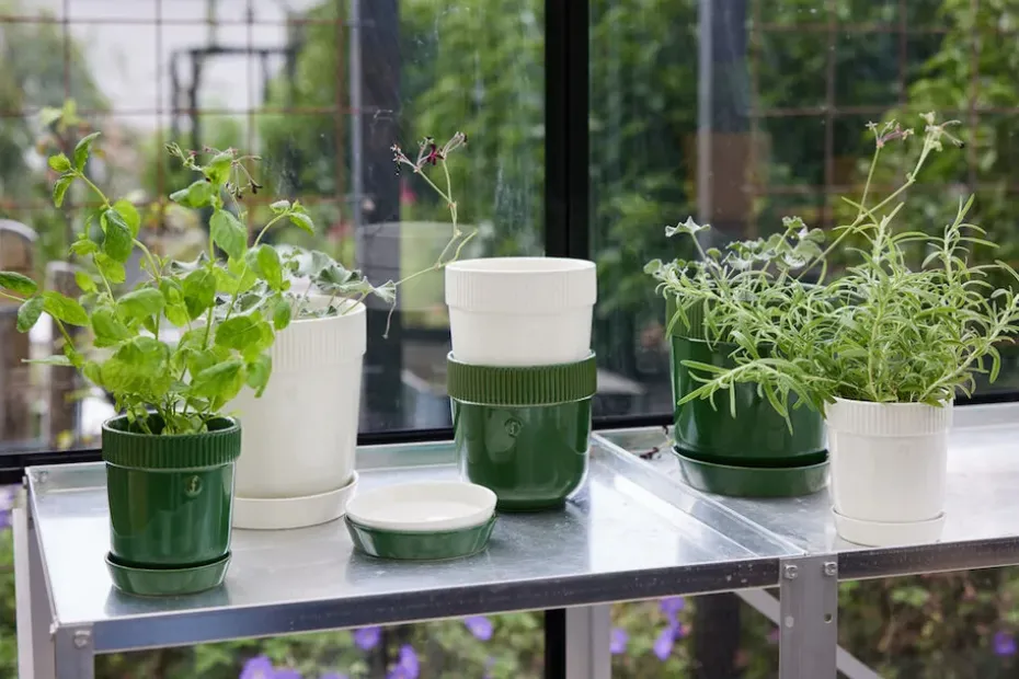 Elise herb pot Ø11 cm, Green