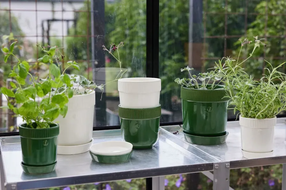 Elise herb pot Ø11 cm, Green
