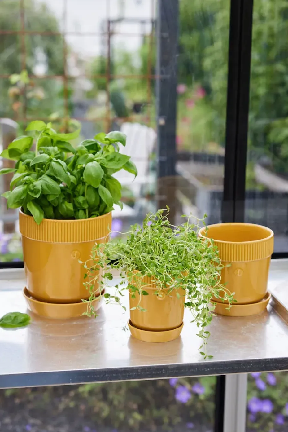 Elise herb pot Ø11 cm, Yellow
