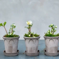 Elizabeth flower pot Ø14 cm, grey