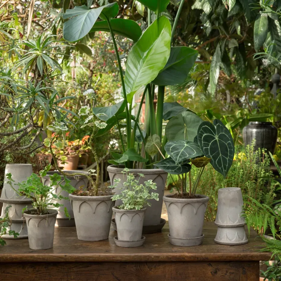 Elizabeth flower pot Ø16 cm, grey