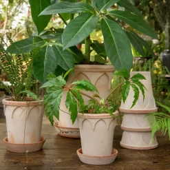 Elizabeth flower pot Ø12 cm, rose