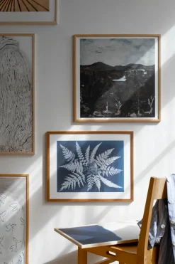 Fern star poster, 40x50 cm