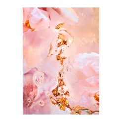 Flora Aquatica 02 poster, 70x100 cm