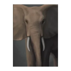 Forest elephant poster, 50x70 cm