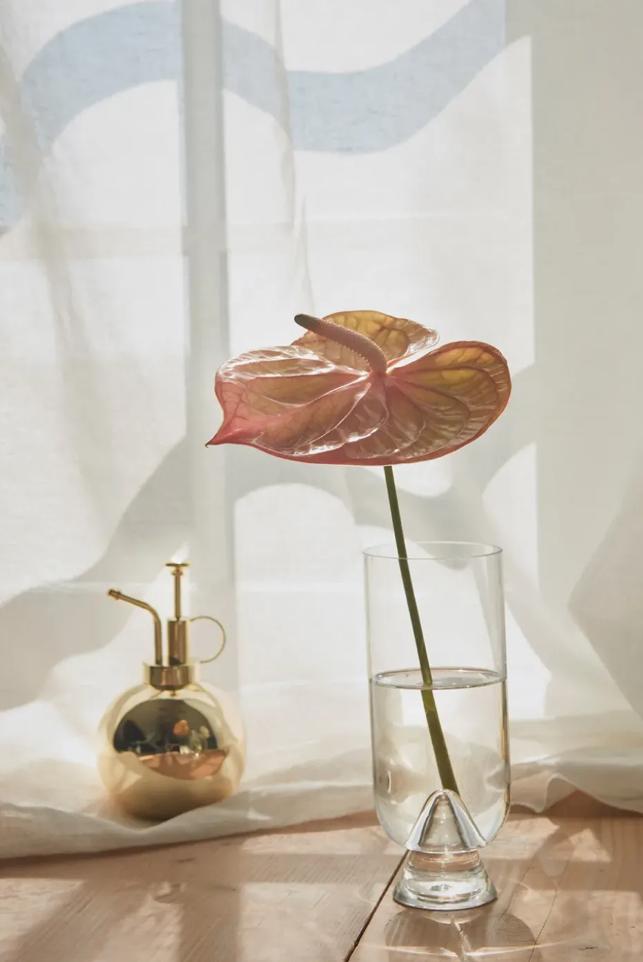 Globe plant sprayer, Gold