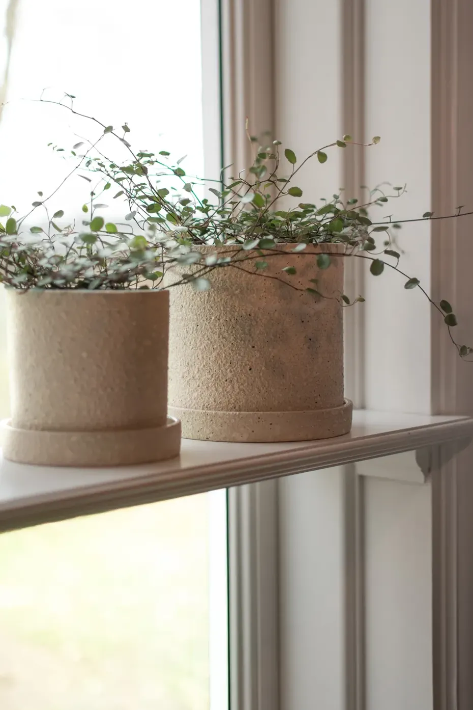 Grow flower pot Ø13 cm with saucer, Creme structure