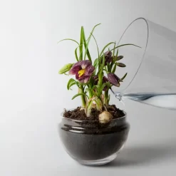 Grow greenhouse, Medium Ø11 cm