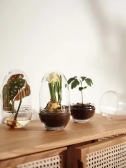 Grow greenhouse, Medium Ø11 cm
