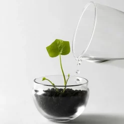 Grow greenhouse, small Ø8 cm