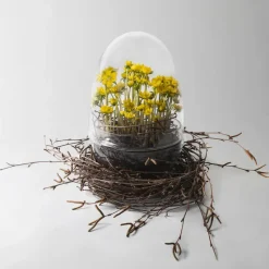 Grow greenhouse, x-large Ø20 cm