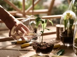 Grow greenhouse, x-large Ø20 cm