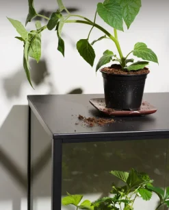Grower Greens plant cabinet, Black, 81x82 cm