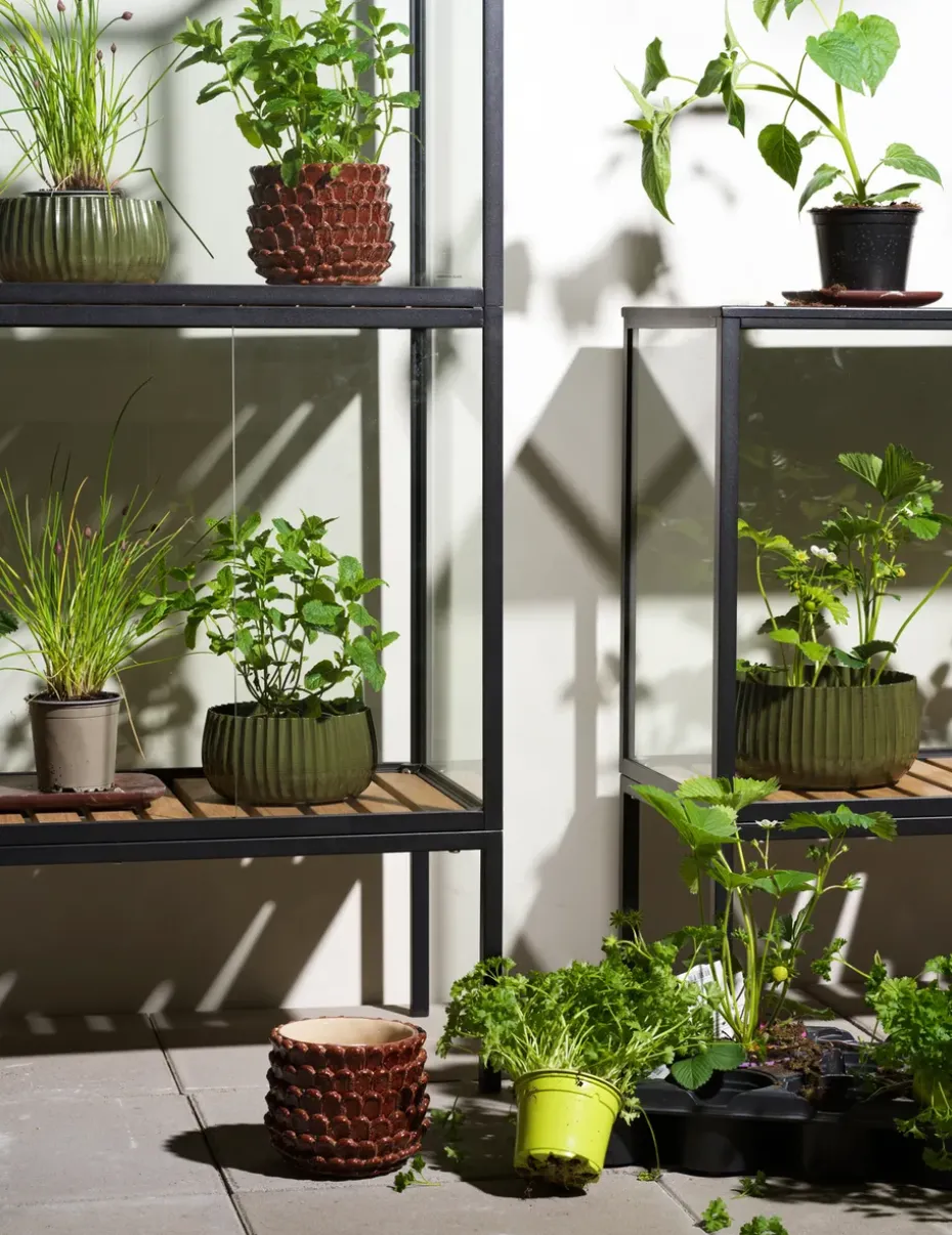 Grower Greens plant cabinet, Black, 81x137 cm