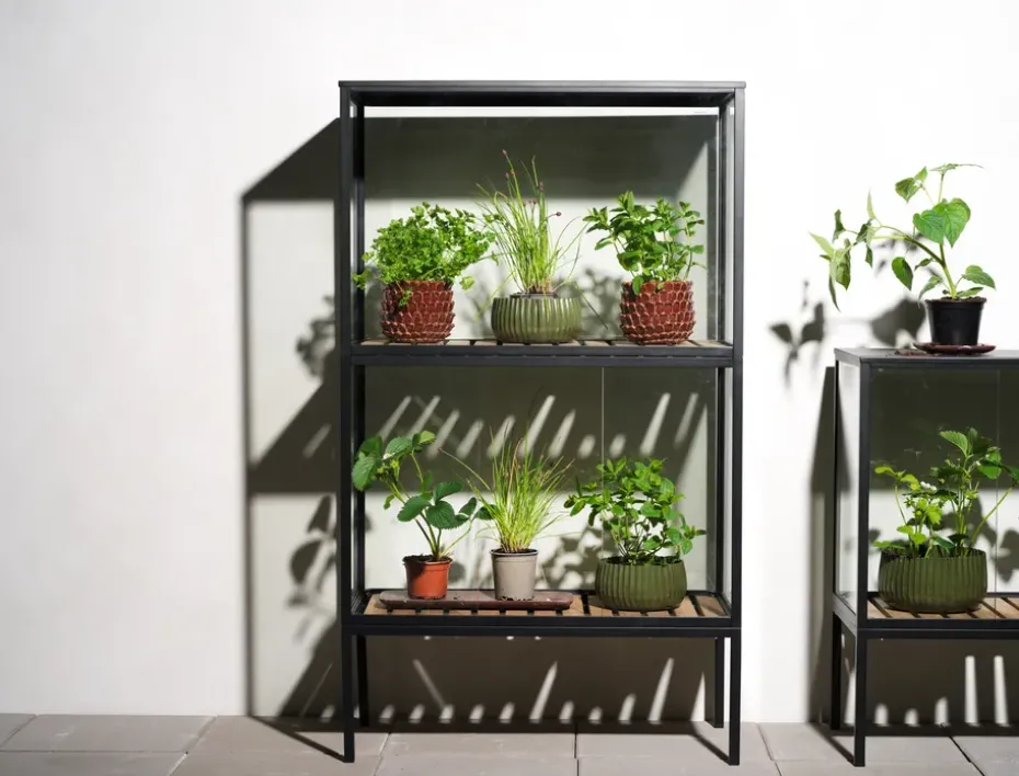 Grower Greens plant cabinet, Black, 81x137 cm
