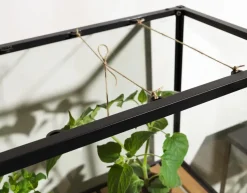 Grower Greens plant cabinet, Black, 81x137 cm