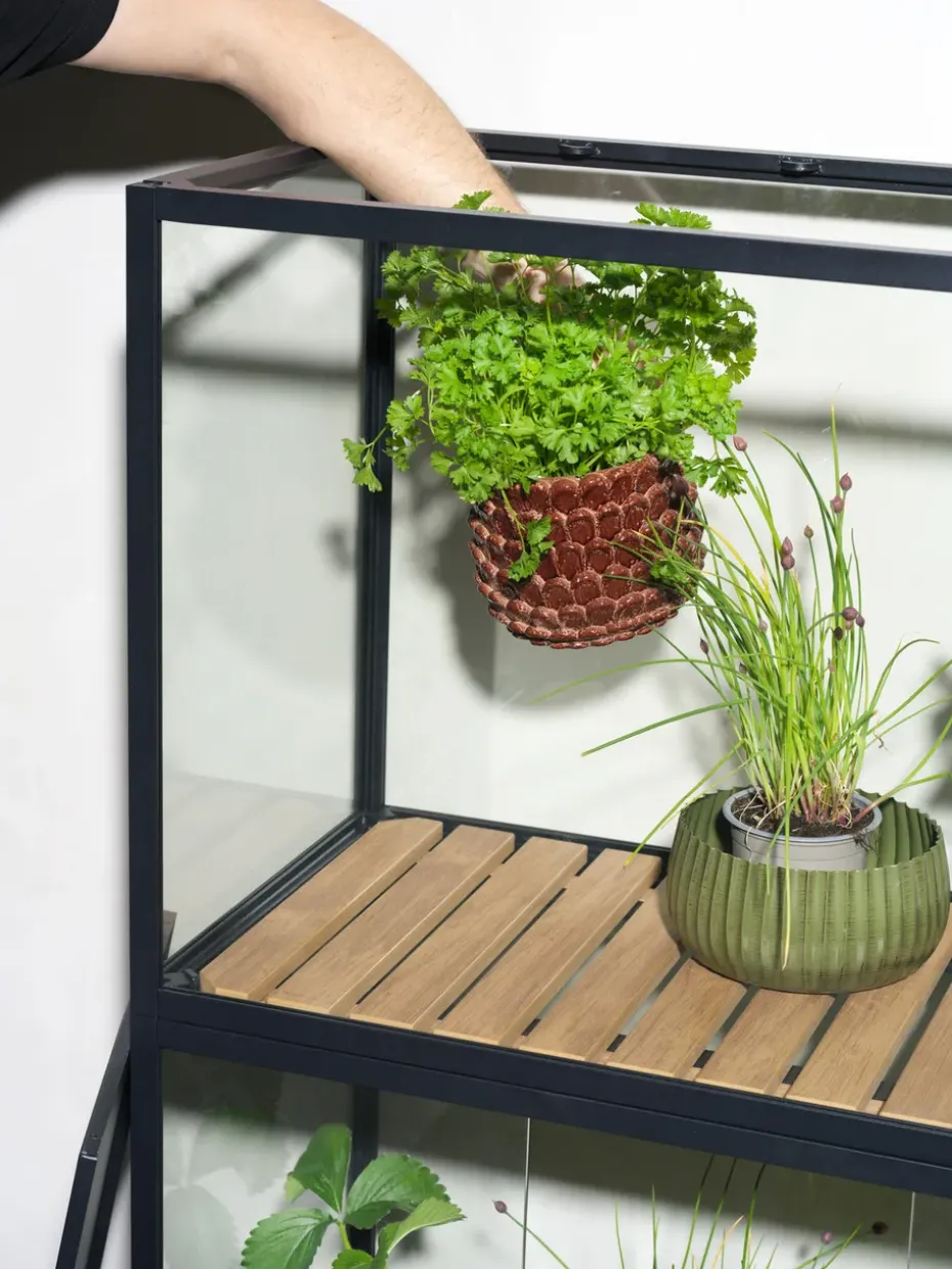 Grower Greens plant cabinet, Black, 81x137 cm