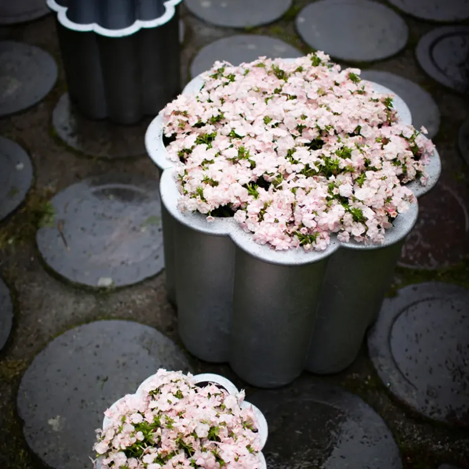 Gråsippa plant pot, Aluminum sand-casted, no. 1 Ø33 cm
