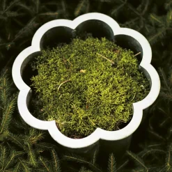Gråsippa plant pot, Aluminum sand-casted, no. 3 Ø62 cm