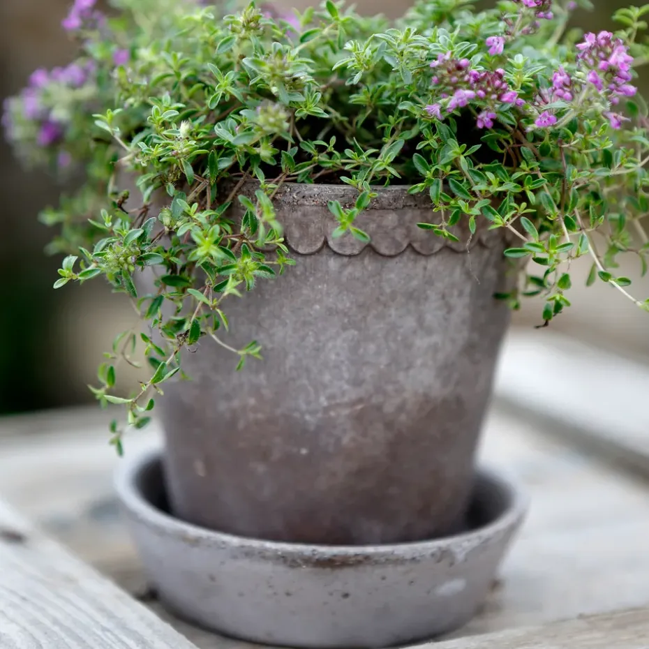 Helena flower pot Ø10 cm, grey