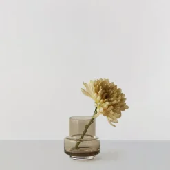 Hurricane tea light no. 25, sepia brown