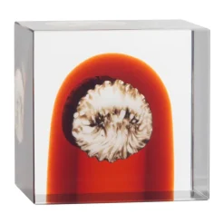 Iittala annual cube, 2026