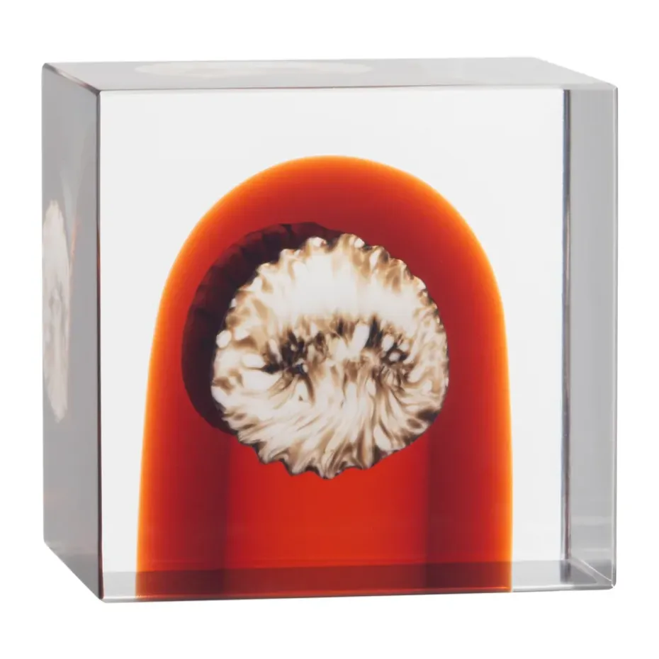 Iittala annual cube, 2026