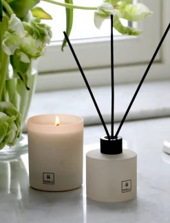 Inhale Reed diffusers 100 ml, Scent of nature