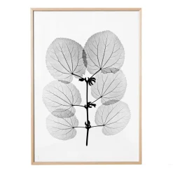 Katsura poster, 70x100 cm