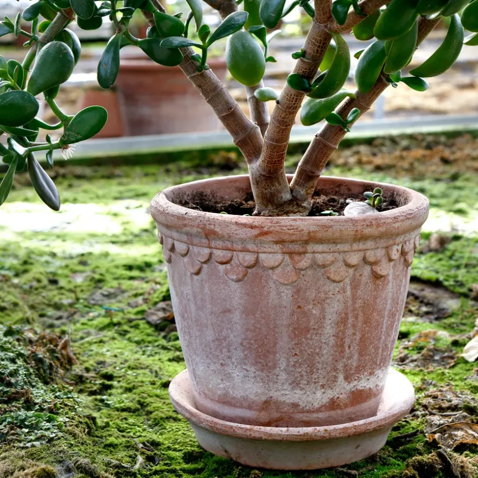 Københavner flower pot 21 cm, Pink