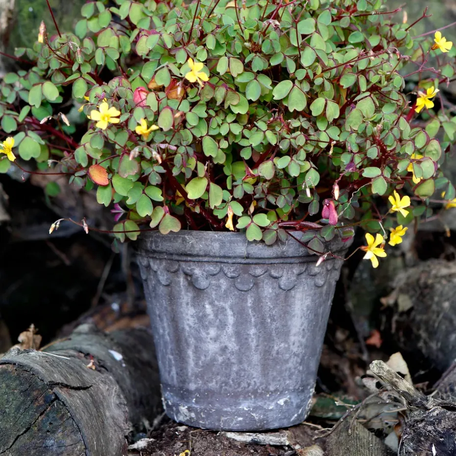 Københavner flower pot Ø16 cm, Grey