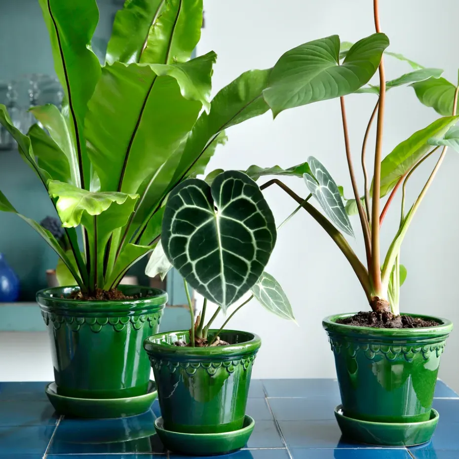 Københavner flower pot glazed Ø18 cm, Green