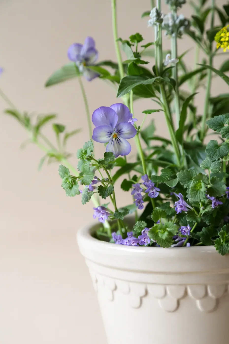 Københavner flower pot glazed Ø10 cm, Sand stone