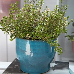 Knabstrup outdoor flower pot Ø16.5 cm, dusty blue