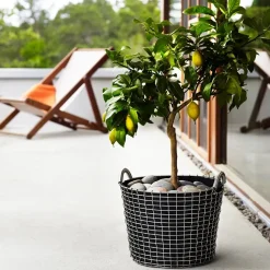 Korbo classic 24, galvanized steel