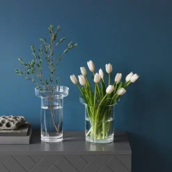 Limelight Rose vase 23 cm, Clear